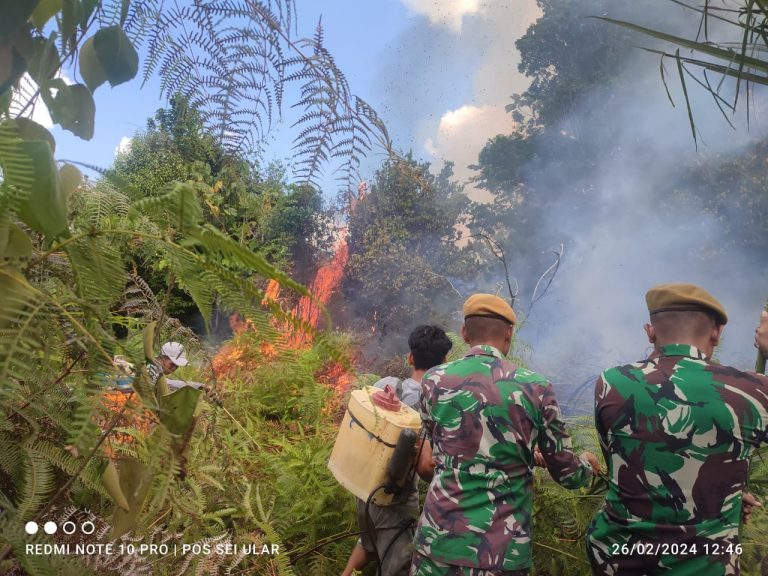 Perkebunan Kelapa Sawit Terbakar, Pasukan Pengamanan Perbatasan Yonarhanud 8/MBC Turun Tangan
