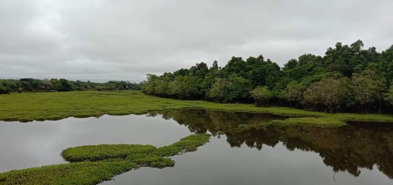 Pulau Layang Seribu, Potensi Wisata Alam yang Menjanjikan di Kembang Janggut