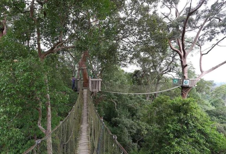 Samboja Barat Bidik Wisatawan IKN, Dispar Kukar Dukung Penuh Pengembangan Objek Wisata