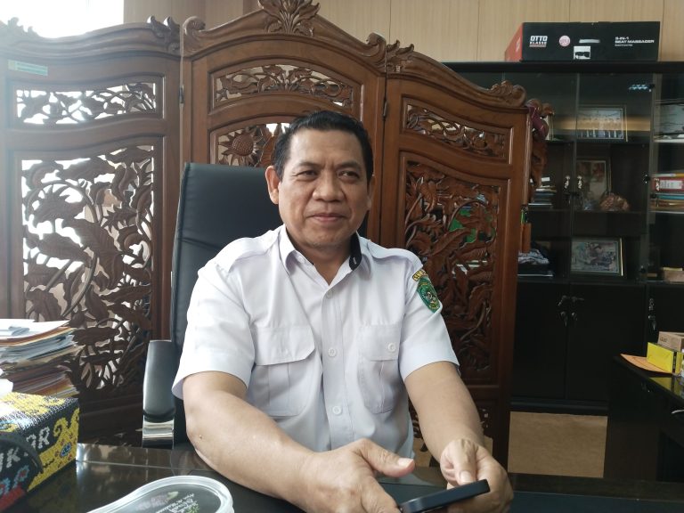 WhatsApp Image 2024-10-31 at 13.16.09