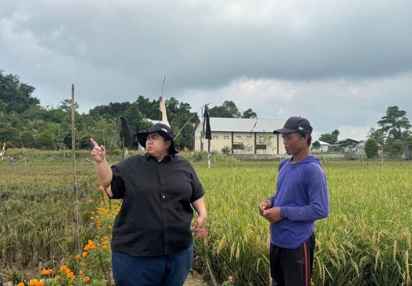 d1b372fe-511f-46e8-87f8-6ca115934eb4